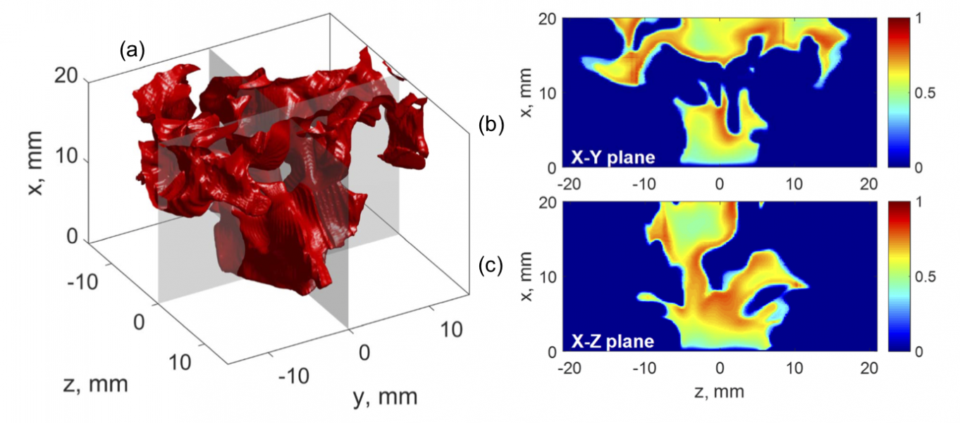 The mechanism leading to blowoff is examined using 3D computational data.